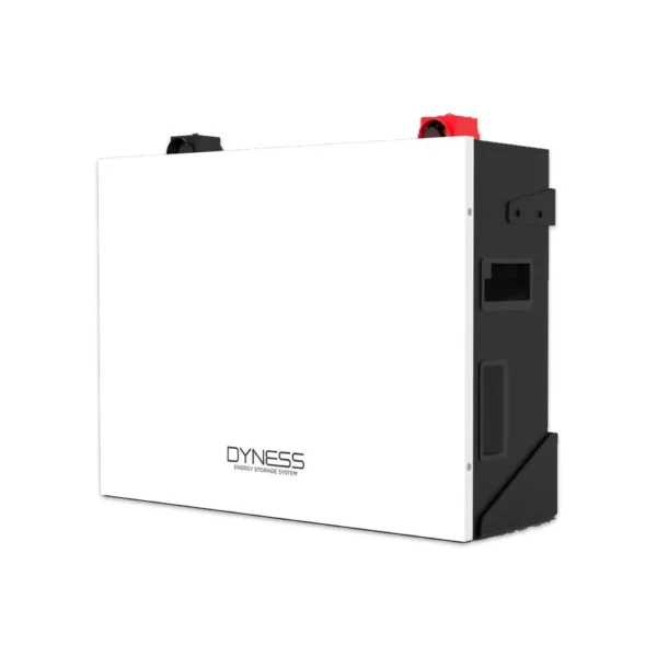 Dyness: Battery Lithium Ion 5.12KWH 51.2V 100Ah (BX51100)