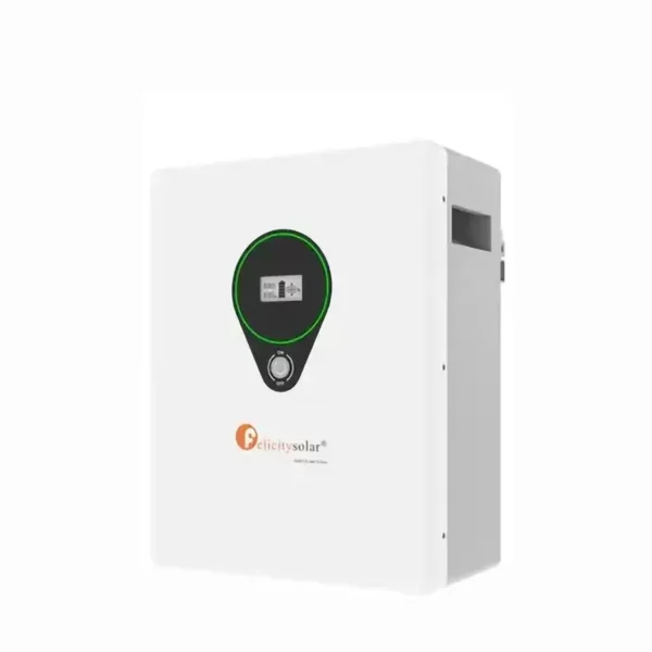 Felicitysolar Lifepo4 24v 100ah 2.5kwh Solar Battery