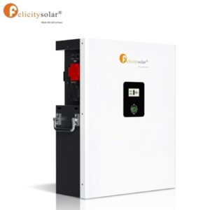 Felicitysolar Lifepo4 51.2v 100ah Lithium Deep Cycle Solar Battery