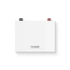 Dyness DL5.0C – 5.12kWh – 1C Rated